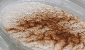 Arroz con leche